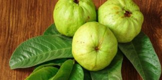 ചർമകാന്തി വീണ്ടെടുക്കാൻ ‘പേരയില’