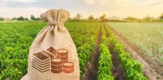 20 വർഷമായി ഭൂനികുതി സ്വീകരിക്കുന്നില്ല; നെട്ടോട്ടമോടി വയനാട്ടിലെ 382 കുടുംബങ്ങൾ land tax issue in Wayanad