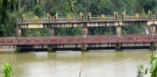 kallarkutti dam idukki