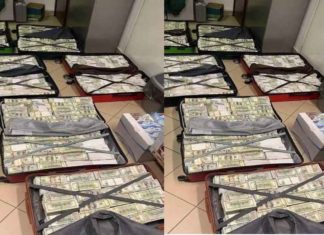 Ukrainian MP’s spouse tries to flee nation with millions