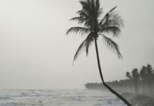 ‘ഡോൾഫിൻ’ ചുഴലിക്കാറ്റ്; മധ്യ, വടക്കൻ കേരളത്തിൽ മഴ തുടരും, ഓറഞ്ച് അലർട് heavy rain