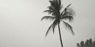 heavy rain
