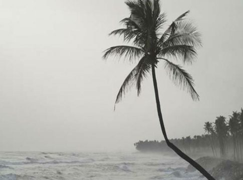 ‘ഡോൾഫിൻ’ ചുഴലിക്കാറ്റ്; മധ്യ, വടക്കൻ കേരളത്തിൽ മഴ തുടരും, ഓറഞ്ച് അലർട് heavy rain