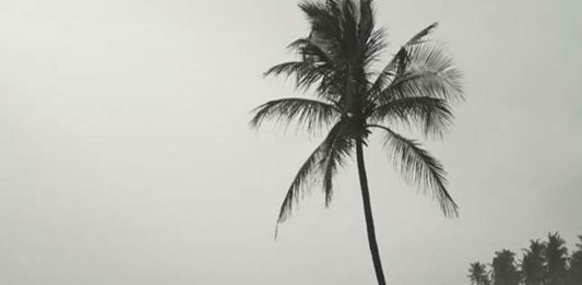 ‘ഡോൾഫിൻ’ ചുഴലിക്കാറ്റ്; മധ്യ, വടക്കൻ കേരളത്തിൽ മഴ തുടരും, ഓറഞ്ച് അലർട് heavy rain