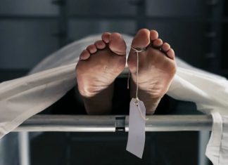 medical negligence-complaint