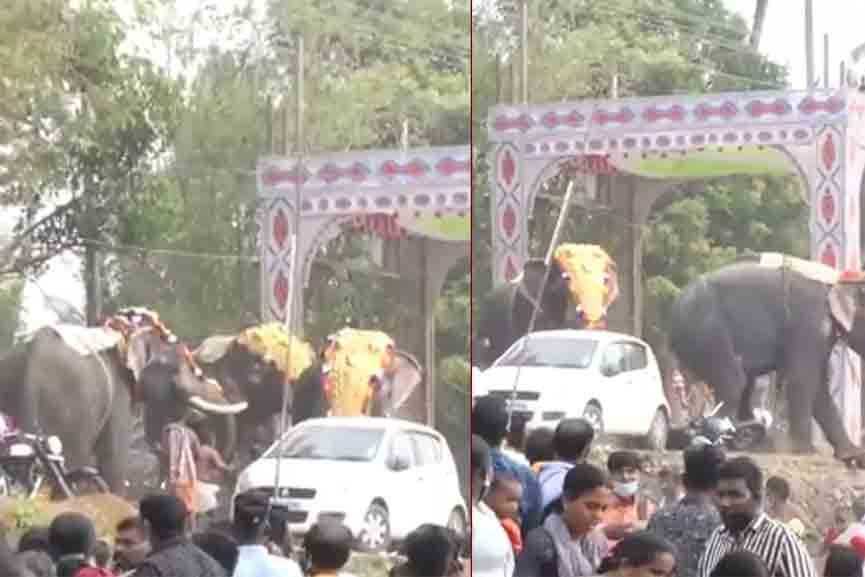 Elephant-crashes-during-Arattupuzha-festival;-Two-people-were-injured Elephant crashes during Arattupuzha festival; Two people were injured