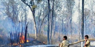 Big Fire At Chakkaraykkal Area In Kannur