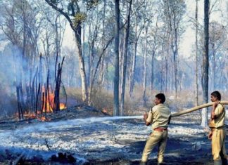 Big Fire At Chakkaraykkal Area In Kannur