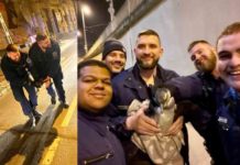 Penguin arrested for wandering around the city in the midnight!