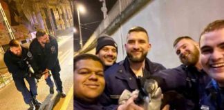 പാതിരാത്രി നഗരം ചുറ്റാനിറങ്ങിയ പെൻഗ്വിൻ അറസ്റ്റിൽ! Penguin arrested for wandering around the city in the midnight!