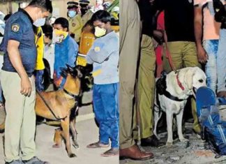 Don finds cannabis in bag; Chetak showed the owner to the police