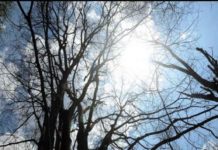 High Temperature In Kerala