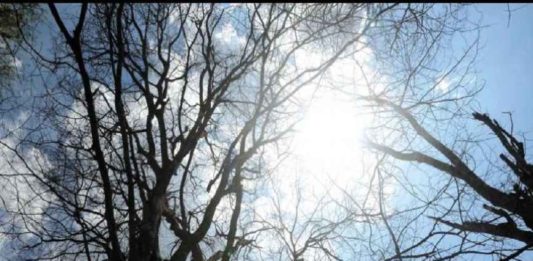 അൾട്രാവയലറ്റ് വികിരണം; മൂന്നാറിലും ചെങ്ങന്നൂരിലും ഓറഞ്ച് അലർട് High Temperature In Kerala