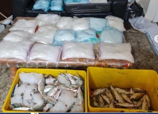 മൽസ്യത്തിന്റെ വയറ്റിലൊളിപ്പിച്ച് മയക്കുമരുന്ന് കടത്ത്; അബുദാബിയിൽ ഏഷ്യക്കാർ അറസ്റ്റിൽ