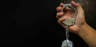 ഹാര്പിക് ചേര്ത്ത മിശ്രിതം കണ്ണിലൊഴിച്ച് 73കാരിയെ കൊള്ളയടിച്ചു; വീട്ടുജോലിക്കാരി അറസ്റ്റിൽ maid used Harpic to blind 73-year-old woman, and robbing her