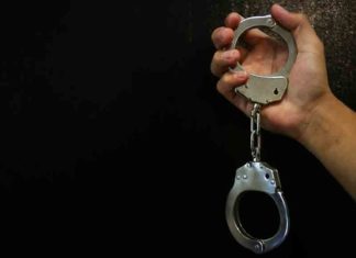 maid used Harpic to blind 73-year-old woman, and robbing her