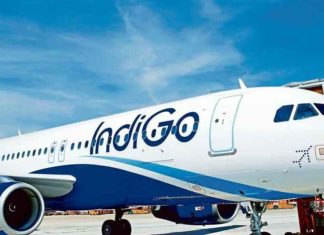 Indigo Air Service