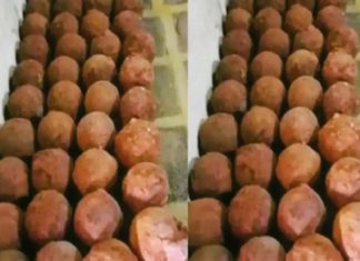 ടിപ്പു കോട്ടയിലെ പീരങ്കി ഉണ്ടകൾ; പട്ടാളം സൂക്ഷിച്ചതാകാമെന്ന് പ്രാഥമിക നിഗമനം Artillery shells at Tipu's Fort