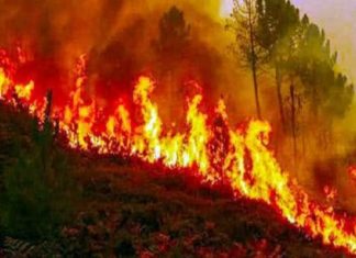 เดเดจเดคเตเดค เดเตเดเดฟเดจเตเดชเตเดชเด เดเดพเดเตเดเตเดคเตเดฏเตเด; เดตเดพเดณเดฏเดพเดฑเดฟเตฝ เดฎเตเดจเตเดจเต เดเดฟเดฒเตเดฎเตเดฑเตเดฑเตผ เดตเดจเด เดเดคเตเดคเดฟเดจเดถเดฟเดเตเดเต Wildfires spread