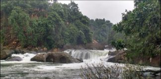 arippara-waterfalls
