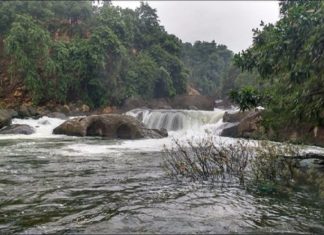 കോഴിക്കോട് അരിപ്പാറ വെള്ളച്ചാട്ടത്തിൽ യുവാവ് മുങ്ങിമരിച്ചു arippara-waterfalls