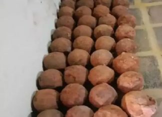 പാലക്കാട് ടിപ്പു കോട്ടയിൽ നിന്ന് പീരങ്കി ഉണ്ടകൾ കണ്ടെത്തി Artillery shells recovered