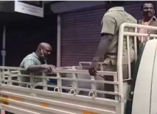 വ്യാപാര സമുച്ചയത്തിലേക്ക് പോത്ത് ഓടിക്കയറി; തൃശൂരിൽ 3 പേർക്ക് പരിക്ക് Buffalo Rushed In A Shopping Complex In Thrissur And 3 Were Injured