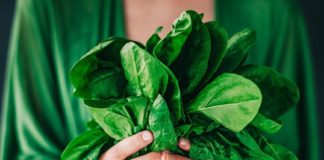 കരുത്തുറ്റ മുടിക്ക് പരീക്ഷിക്കാം ചീര ഹെയർ മാസ്ക്