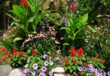 Gardening to prevent waste disposal; Munnar panchayat with a different idea