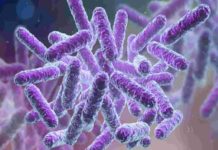 Shigella Bacteria Confirmed In Kozhikode Again