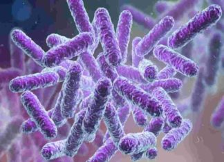 Shigella Bacteria Confirmed In Kozhikode Again