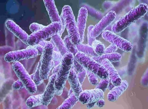Shigella Bacteria Confirmed In Kozhikode Again
