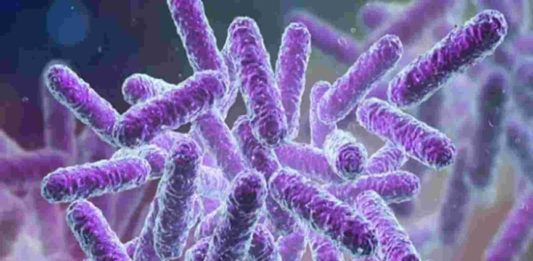 Shigella Bacteria Confirmed In Kozhikode Again