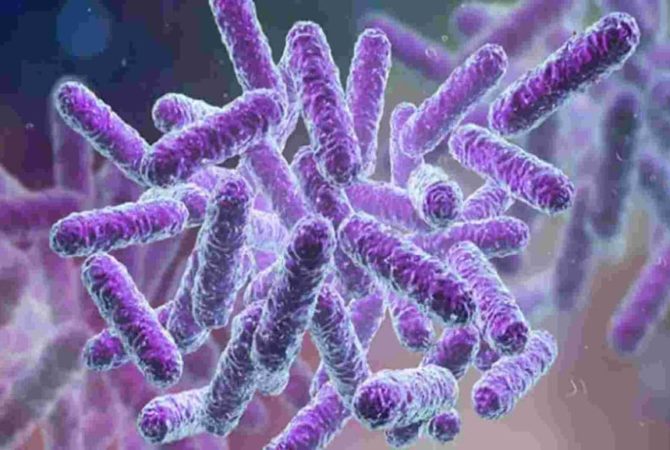 Shigella Bacteria Confirmed In Kozhikode Again