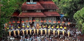 തൃശൂർ പൂരത്തിന് സുരക്ഷ ശക്തമാക്കും; 5000 പോലീസുകാരെ വിന്യസിക്കാൻ തീരുമാനം thrissur-pooram