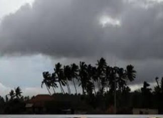 സംസ്ഥാനത്ത് ഇന്നും ശക്തമായ മഴ മുന്നറിയിപ്പ്; വയനാട് യെല്ലോ അലർട് Rain alert in kerala