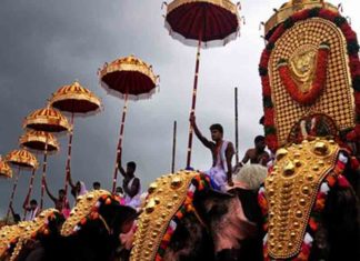 തൃശൂർ പൂരം; വനംവകുപ്പിന്റെ വിവാദ ഉത്തരവ് പിൻവലിക്കുമെന്ന് മന്ത്രി എകെ ശശീന്ദ്രൻ Thrissur Pooram