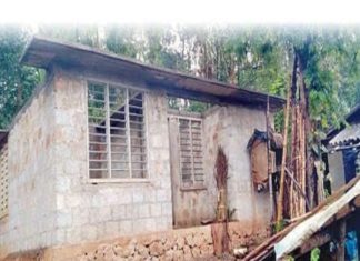 life project in noolpuzha construction of houses