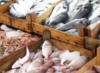 കോഴിക്കോട് പഴകിയ മൽസ്യം പിടികൂടി