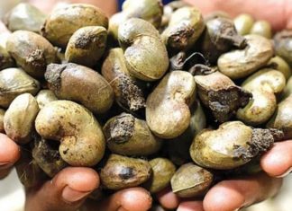 കാപ്പക്സ് അഴിമതി; വിജിലൻസ് അന്വേഷണത്തിന് ഉത്തരവിട്ട് വ്യവസായ വകുപ്പ് capex-board