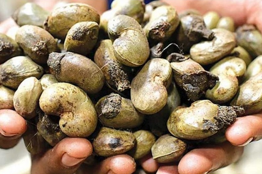 capex-board capex-board