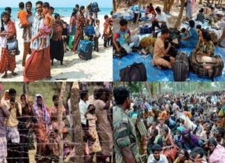Three More Refugees From Sri Lanka To India