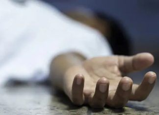 Woman Were Died In Palakkad By KSRTC Accident