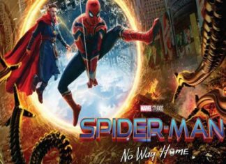 സ്പൈഡർമാൻ നോ വേ ഹോം; 292 തവണ കണ്ട് ആരാധകൻ, ലോകറെക്കോർഡ് Spider-Man: No Way Home Watched 292 Times By Fan Who Ended Up Making A World Record