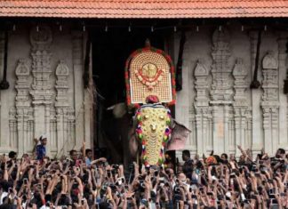 തൃശൂർ പൂരം; തെക്കേഗോപുര വാതിൽ എറണാകുളം ശിവകുമാർ തുറക്കും Ernakulam Sivakumar Will Be In Thrissur Pooram This Year Also