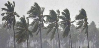 Heavy Rain Alert In Kerala And Yellow Alert In 3 Districts