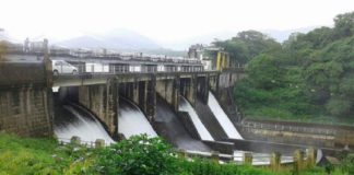 เดเดพเดคเตเดคเดฟเดฐเดฟเดชเตเดชเดฟเดจเต เดตเดฟเดฐเดพเดฎเด; เดฎเดเดเดฒเดเดกเดพเดฎเดฟเดฒเต เดธเดพเดนเดธเดฟเดเตเดฆเตเดฏเดพเดจเด เดคเตเดฑเดจเตเดจเต Mangalam Dam Garden Opens In Palakkad