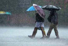 മഴ തുടരും; നാളെ വിവിധ ജില്ലകളിൽ താലൂക്ക് അടിസ്ഥാനത്തിൽ അവധി Heavy rains in the state today