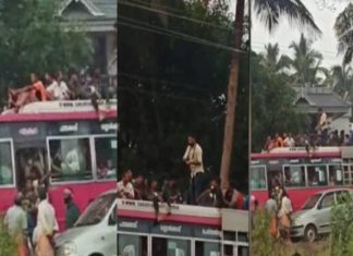 Ride on top of the bus; Department of Motor Vehicles with action