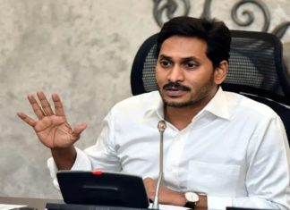 13 More Districts In Andhra Pradesh From Today